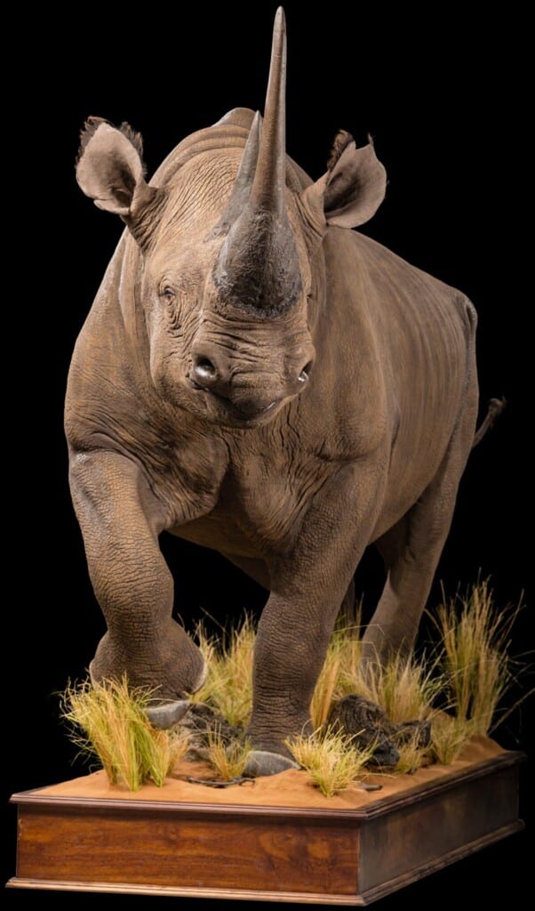 Black Rhino Fullmount Custom Base with Habitat 20190527 1164