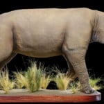 Black Rhino Fullmount Artificial 20220830 1167