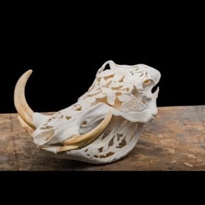 Warthog-Full-Skull-Carved-GG150