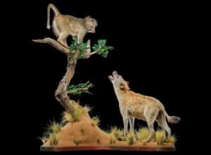 Spotted Hyena and Baboon Fullmount Combination 20220830 0564