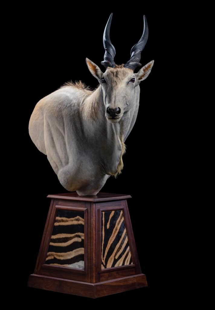 Eland Pedestalmount Right Turn on Custom Base with Zebra Skin Inlays 20191024 0282