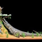 Crocodile and Bushbuck Fullmount Combination 20150930 0196
