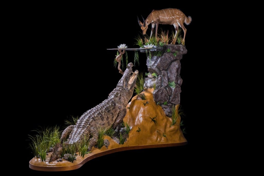 Crocodile and Bushbuck Prey Fullmount Combination Custom Diorama Base 20201022 0197