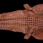 Crocodile Flatskin Leather Tan 20200921 0217