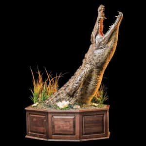 Crocodile Halfmount Pedestal with Custom Diorama Base 20160511 0203
