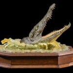 Crocodile Head Pedestal Custom Base 20210813 0208