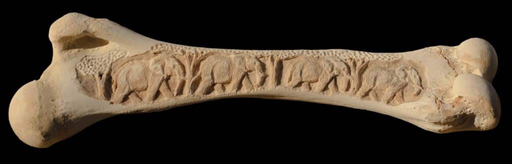 Elephant Bone Carving 20220831 0305