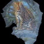 Leopard Painted on Elephant Ear Leather Andre Meintjes 20220831 0323