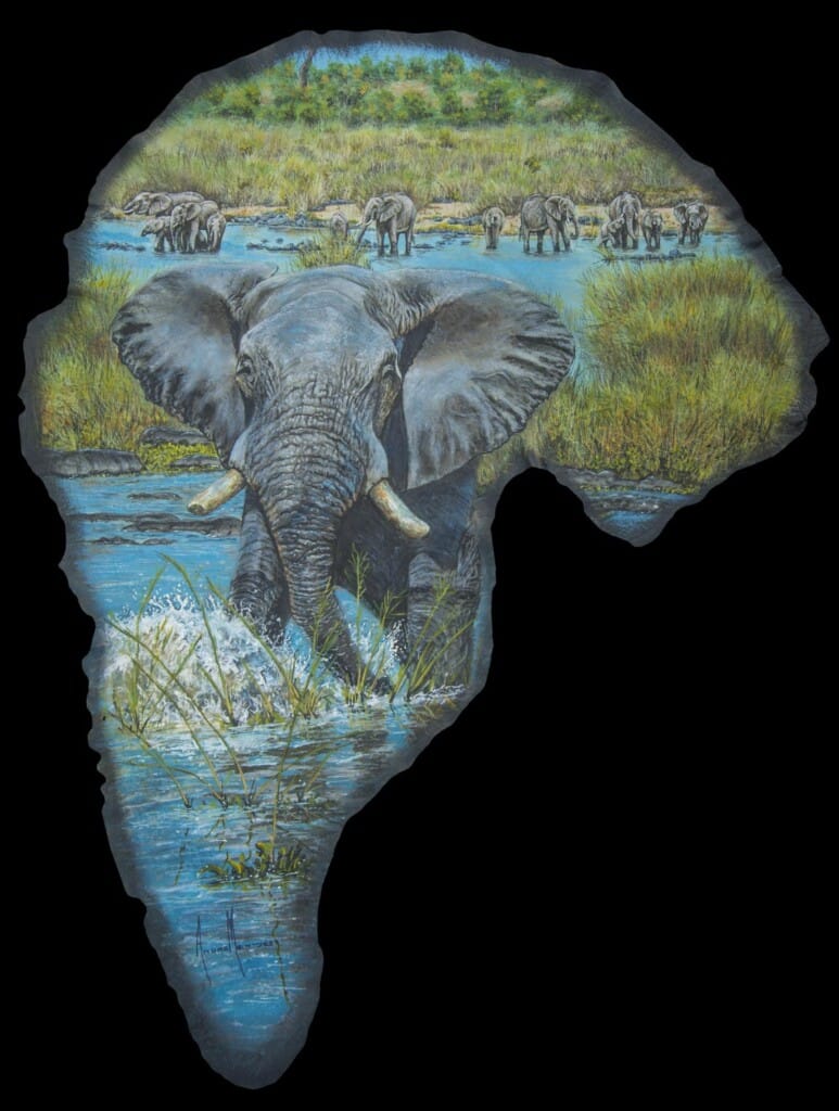 Elephant Painted on Elephant Ear Leather Andre Meintjes 20220831 0324