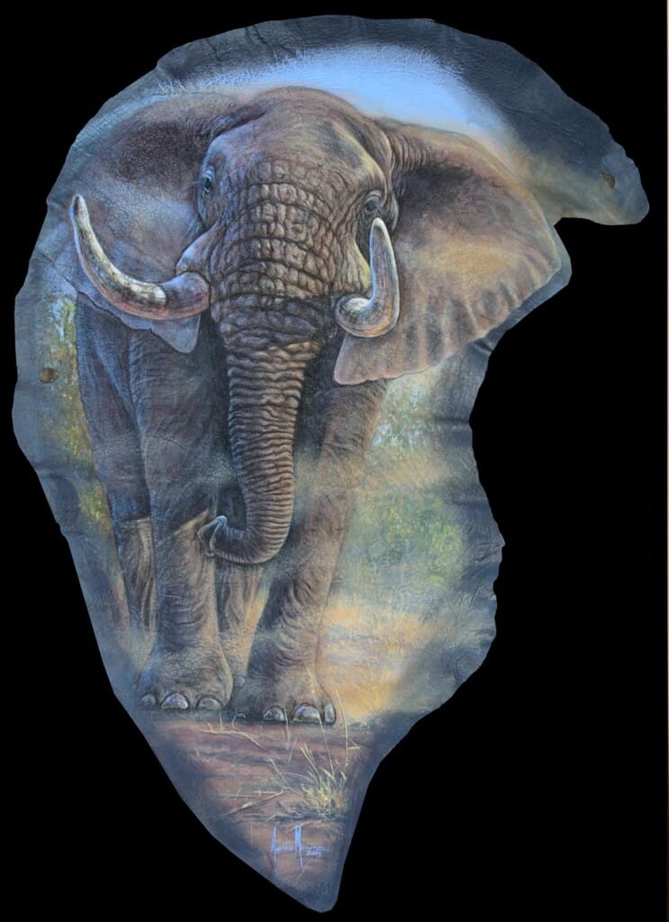Elephant Painted on Elephant Ear Leather Andre Meintjes 20220831 0326