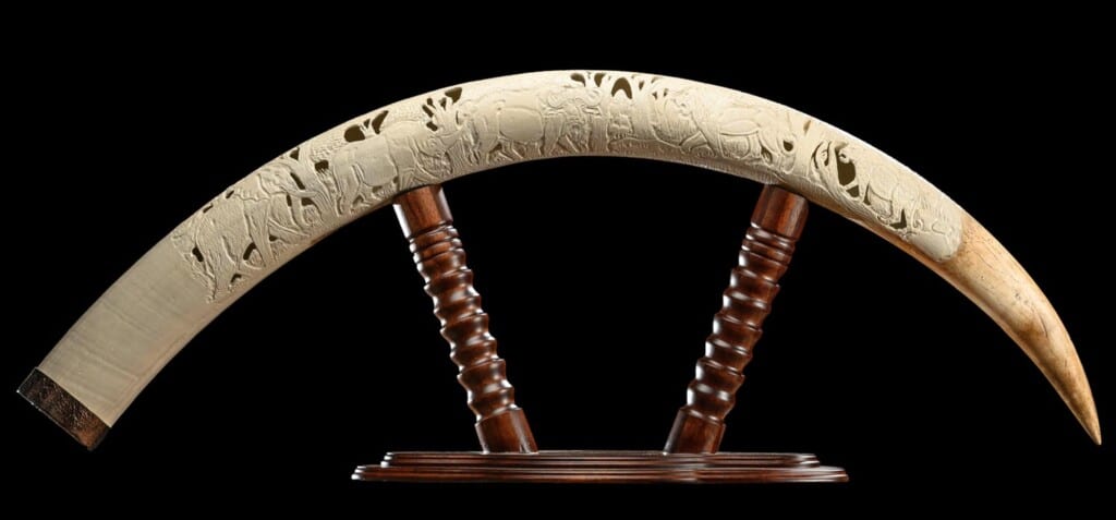Elephant Tusk Carving Custom Display Stand 20220805 0306
