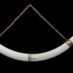 Elephant Tusk Wall Hanging 20160714 0370