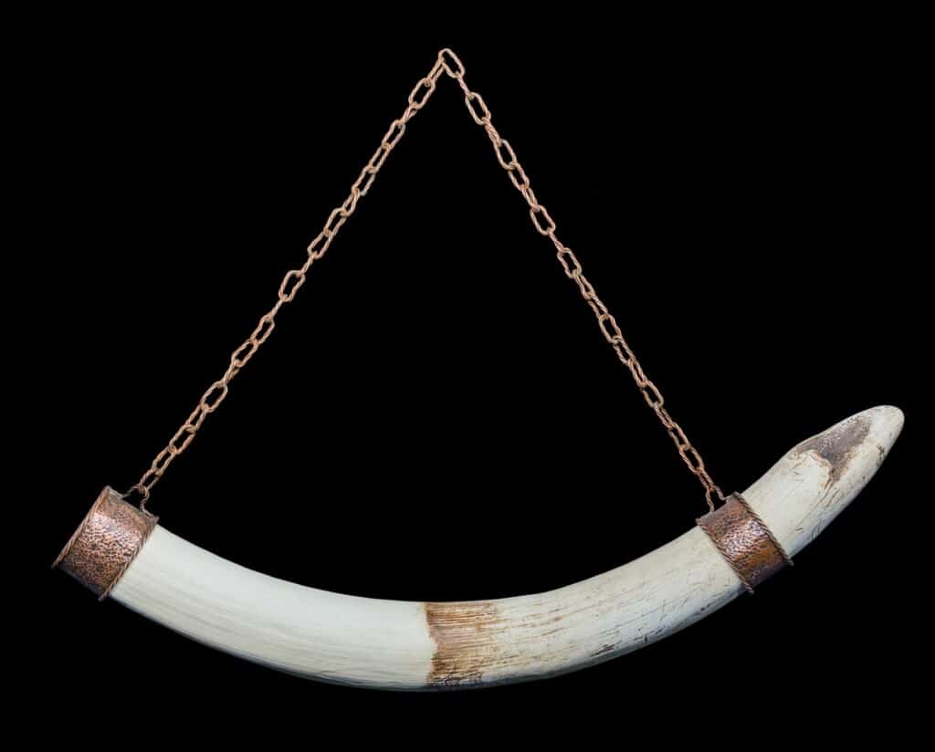Elephant Tusk Wall Hanging 20220831 0371