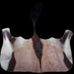 Gemsbuck Oryx Backskin Tan 20191115 1061