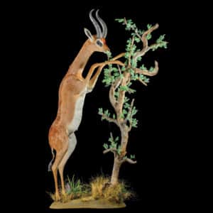 Gerenuk Fullmount 0220830 0464