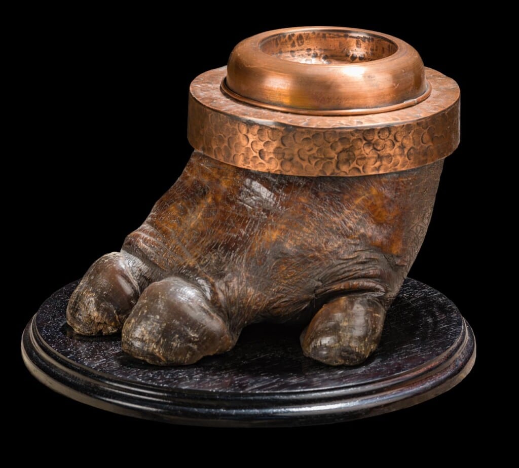 Hippo Foot Ashtray 20190531 0538
