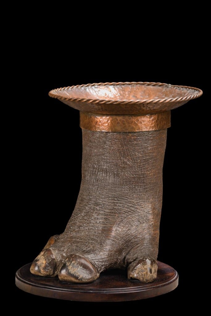 Hippo Foot Bowl 20190531 0539