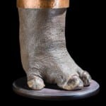 Hippo Foot Ice Bucket 20170717 0540