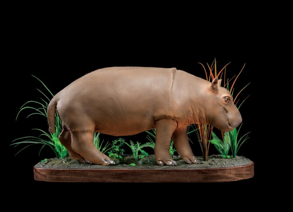 Hippo Fullmount Artificial 20220830 0534