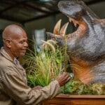 Hippo Pedestalmount Custom Diorama Base 20220830 0549