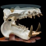 Hippo Fullskull Custom Table 20210813 0542