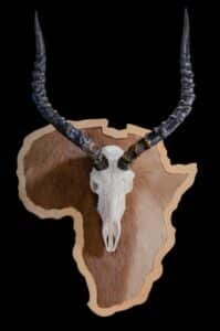 Impala Fullskull on Custom Shield GG211
