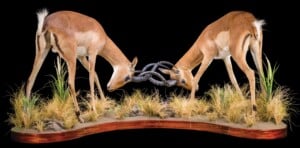 Impala Fullmount Combination 20220830 0605