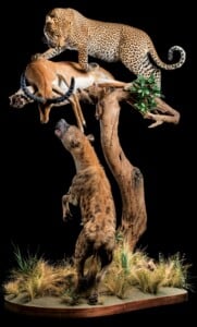 Leopard, Spotted Hyena and Impala Prey Fullmount Combination Custom Base 20220830 0567