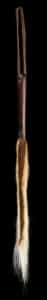 Impala Tailswish 20220805 0641