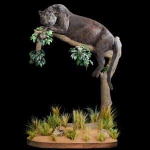 Panther Fullmount Pedestal 20170717 0749