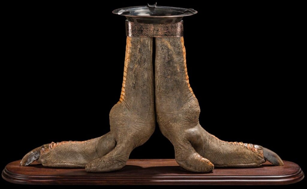 Ostrich Feet Ashtray 20190531 5028
