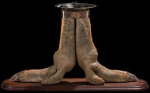 Ostrich Feet Ashtray 20190531