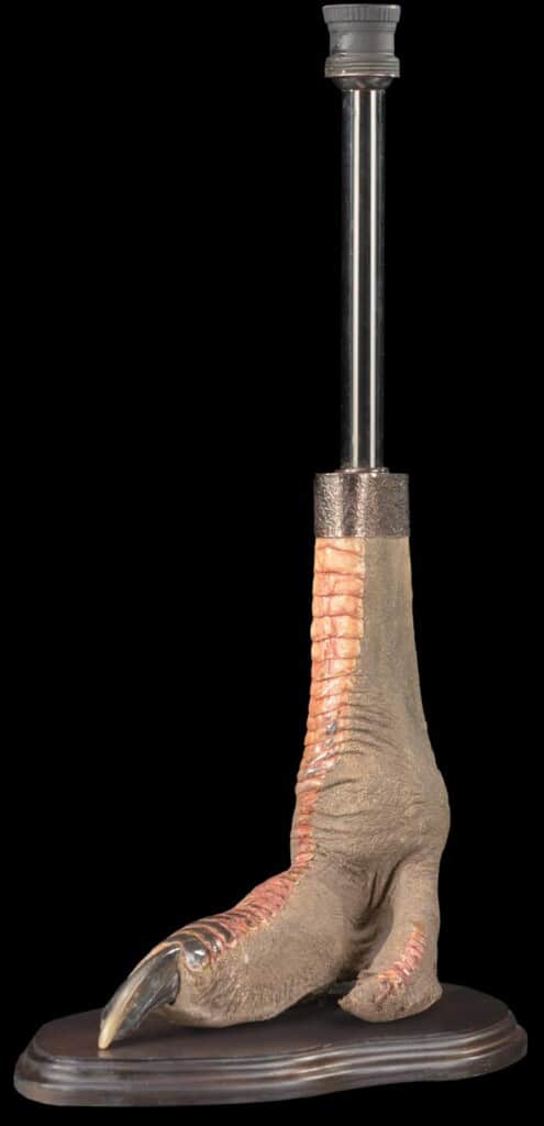 Ostrich Foot Lamp 20220829 1109
