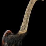 Ostrich Neck Mount 20220805 1106