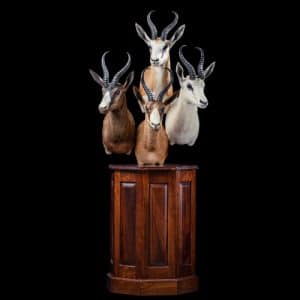 Springbuck Pedestalmount Combination 20191115 1260