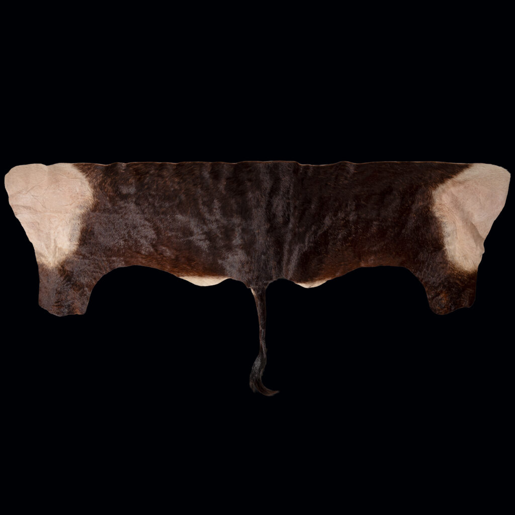 Sable Backskin Tan 20250528 73006