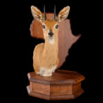 Steenbuck Octagon Pedestalmount Table Display 20250704 73047