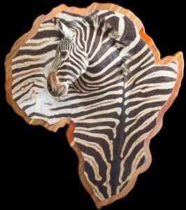 Zebra 3D Portrait Mount on Africa Shape Shield 20170717 1424