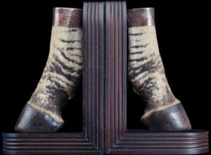Zebra Foot Bookends 20170818 1460