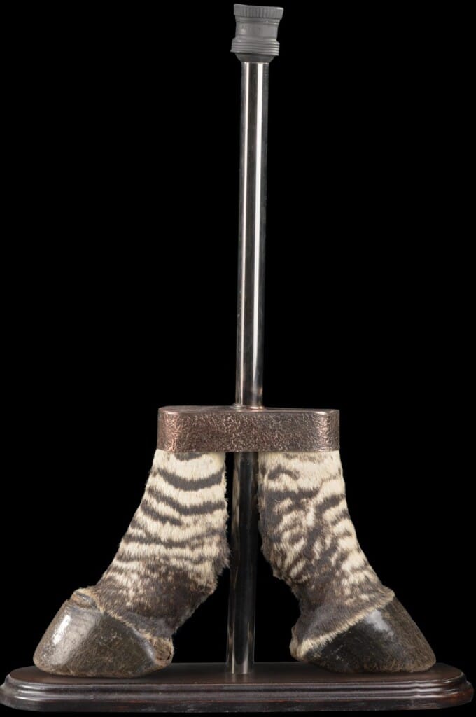 Zebra Foot Lamp 20220830 1461