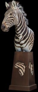 Zebra Pedestalmount R/T Custom Base with Africa Shape Inlay 20170717 1441