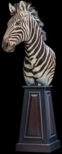 Zebra Pedestalmount R/T 20170717 1443