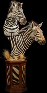 Zebra Pedestalmount Combination Custom Base with Inlay 20220805 1444