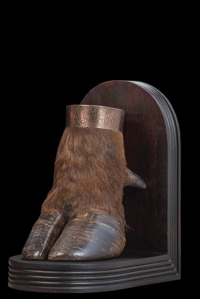 Buffalo Single Foot Bookends 20161111 0052