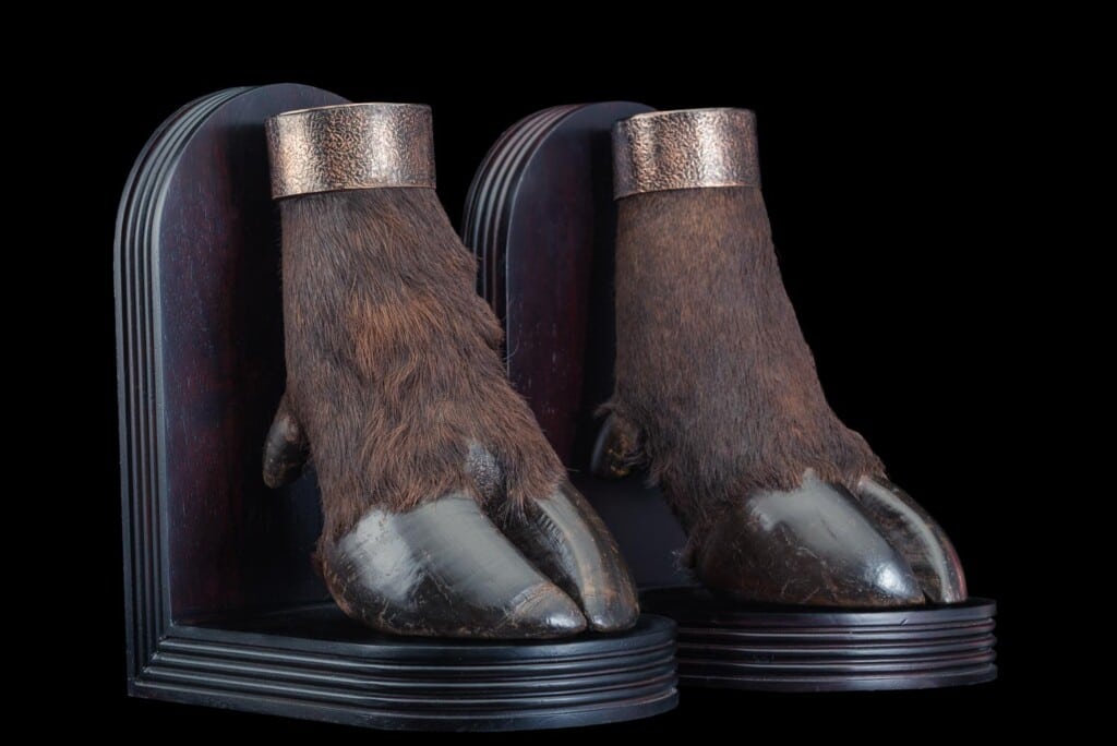 Buffalo Single Foot Bookends 20170818 0053