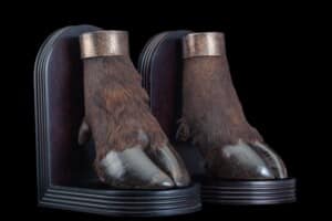Buffalo Single Foot Bookends 20170818 0053