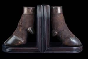Buffalo Single Foot Bookends 20170818 0054