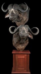 Buffalo Pedastalmount Combination with custom base 20220805 0025
