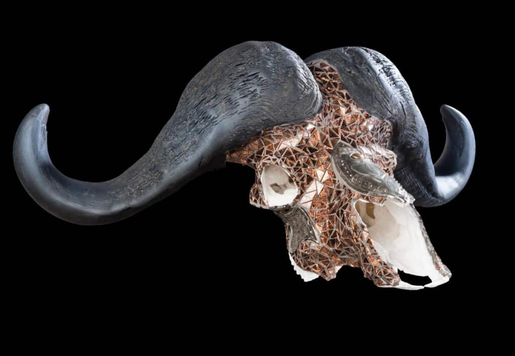 Buffalo Fullskull Mosaic 20180313 0073
