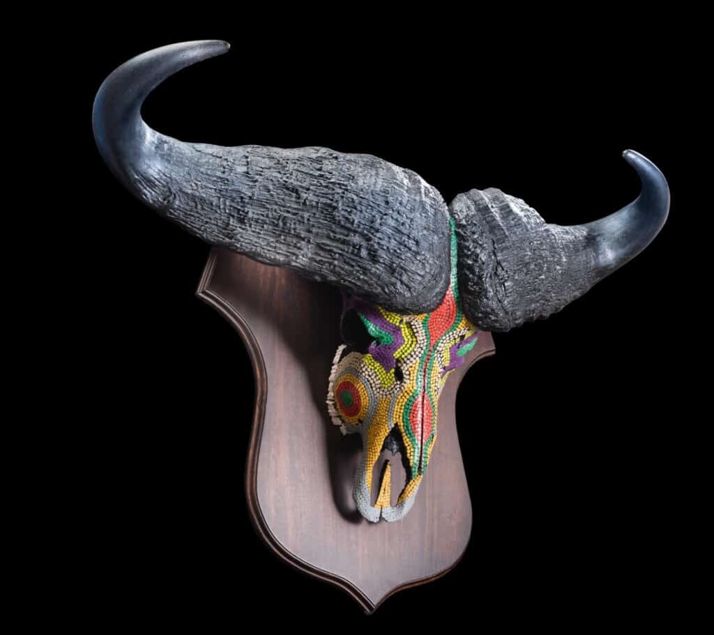 Buffalo Fullskull Shieldmount Dot Painted 20180313 0064